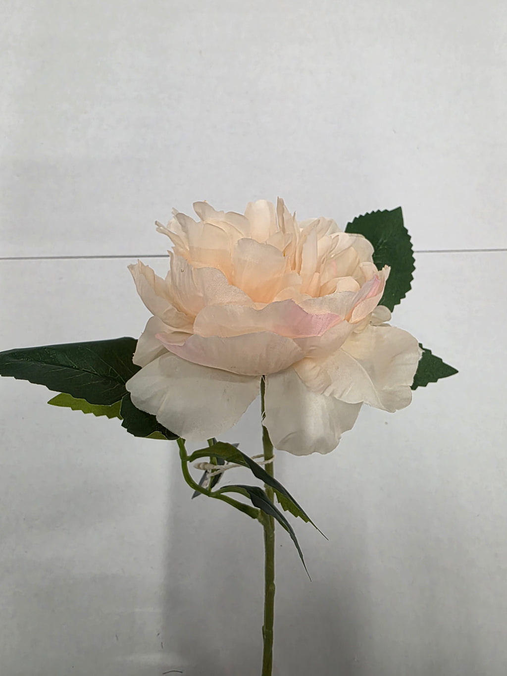 Artificial Peony Salmon 50cm (Pack of 4)