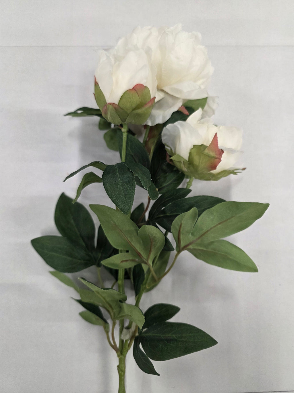 Artificial Peony Spray White 66cm