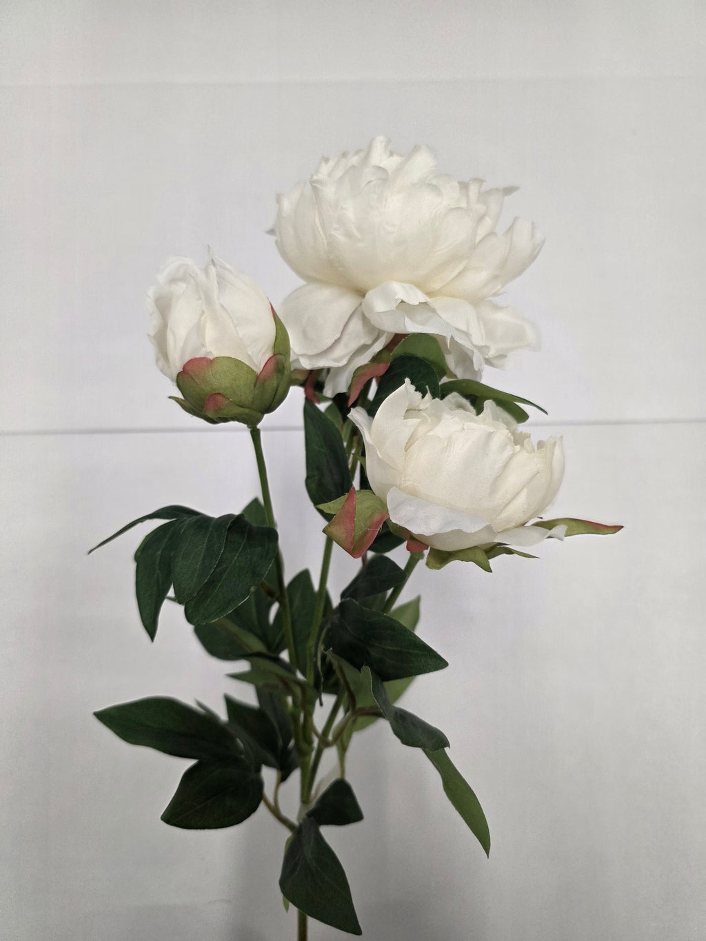 Artificial Peony Spray White 66cm