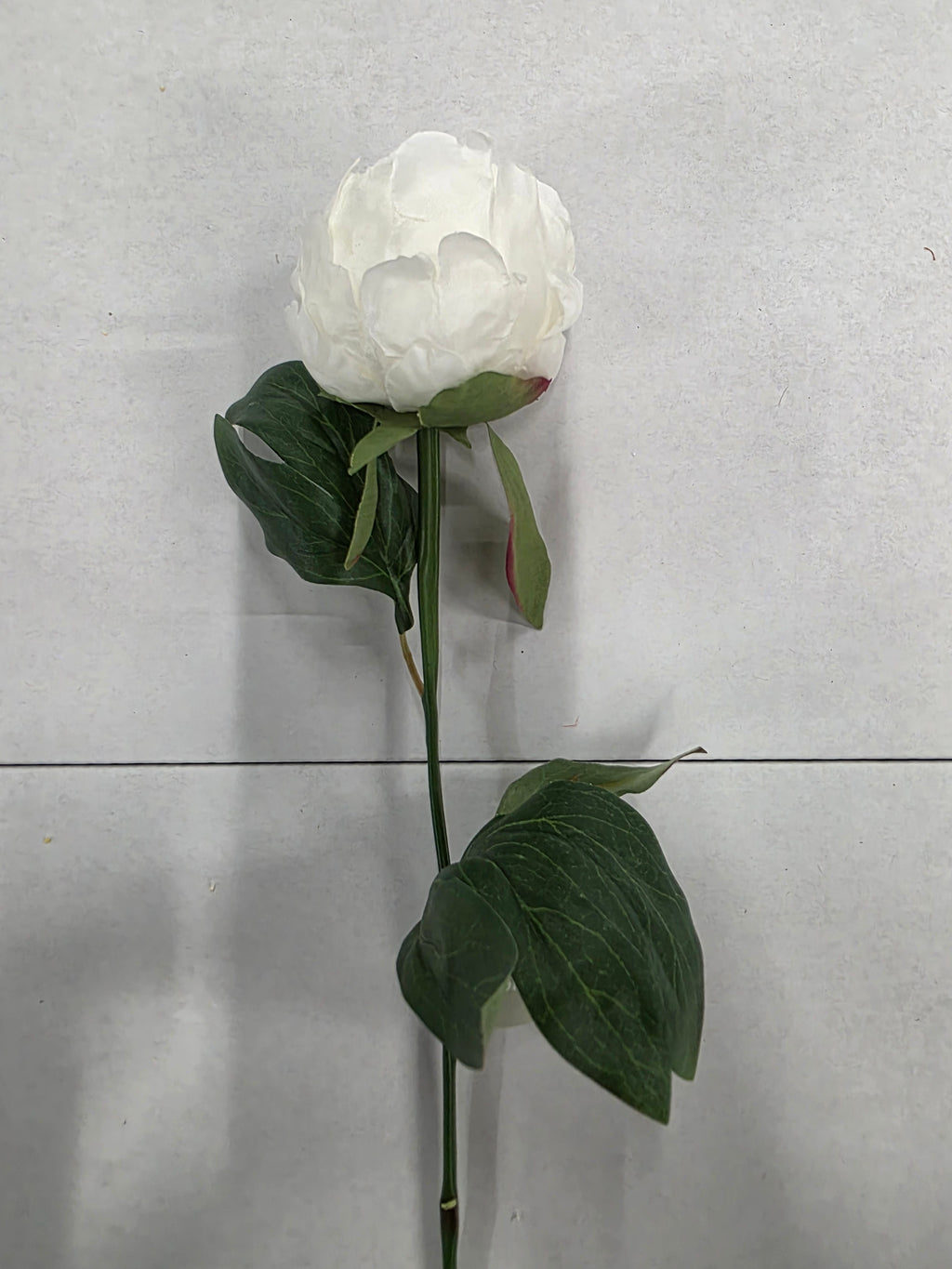 Artificial Peony Spray White Cream 62cm