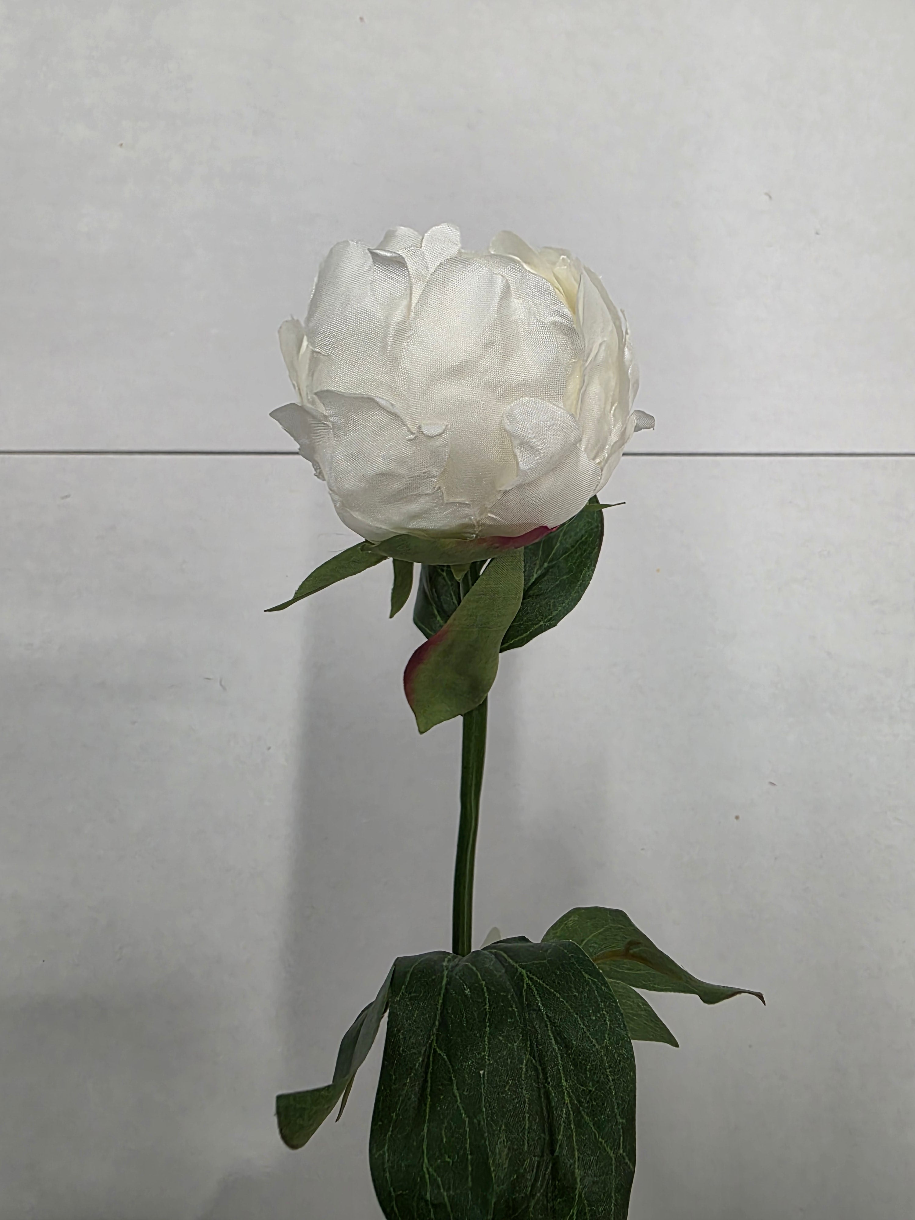 Artificial Peony Spray White Cream 62cm