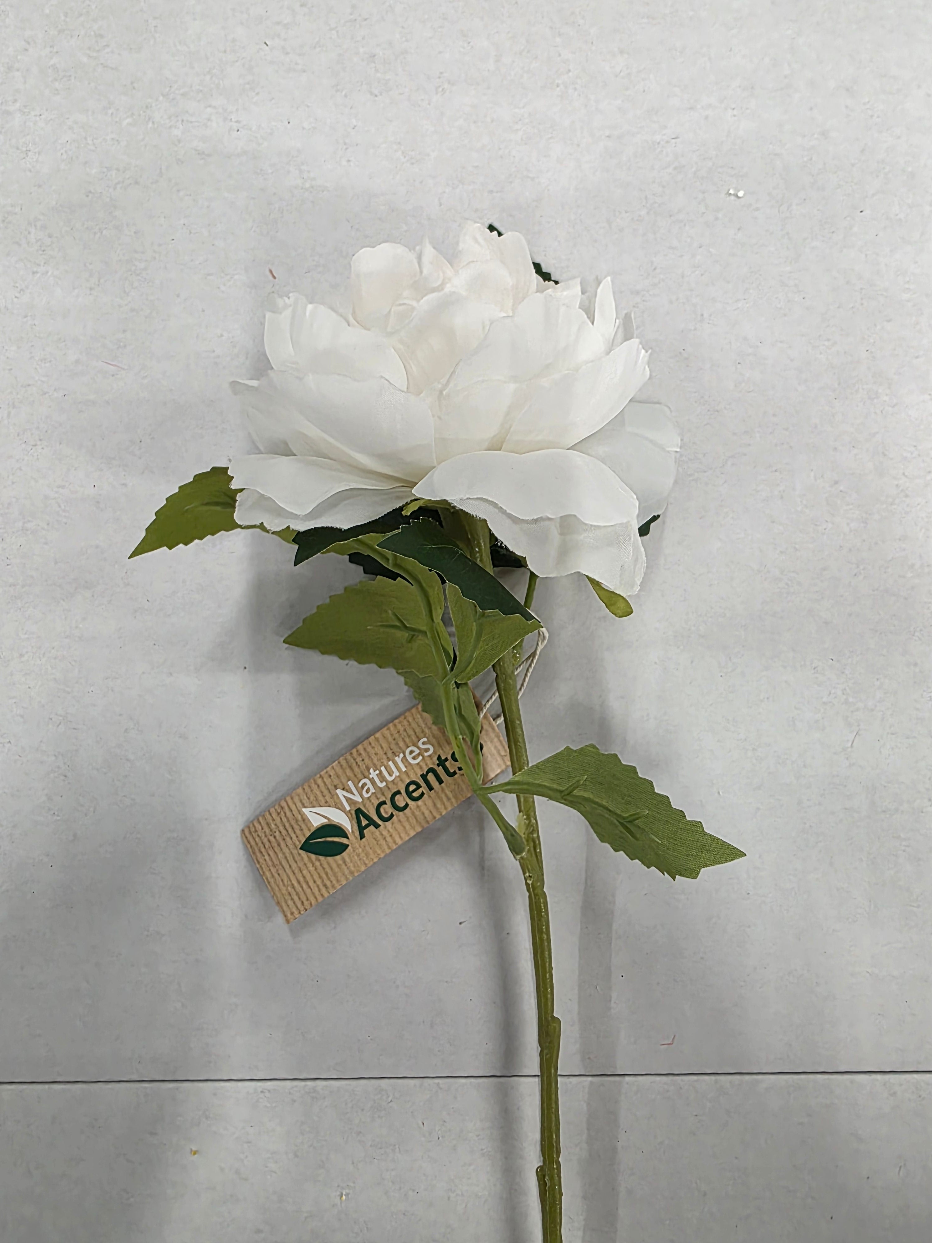 Artificial Peony White 50cm (Pack of 4)