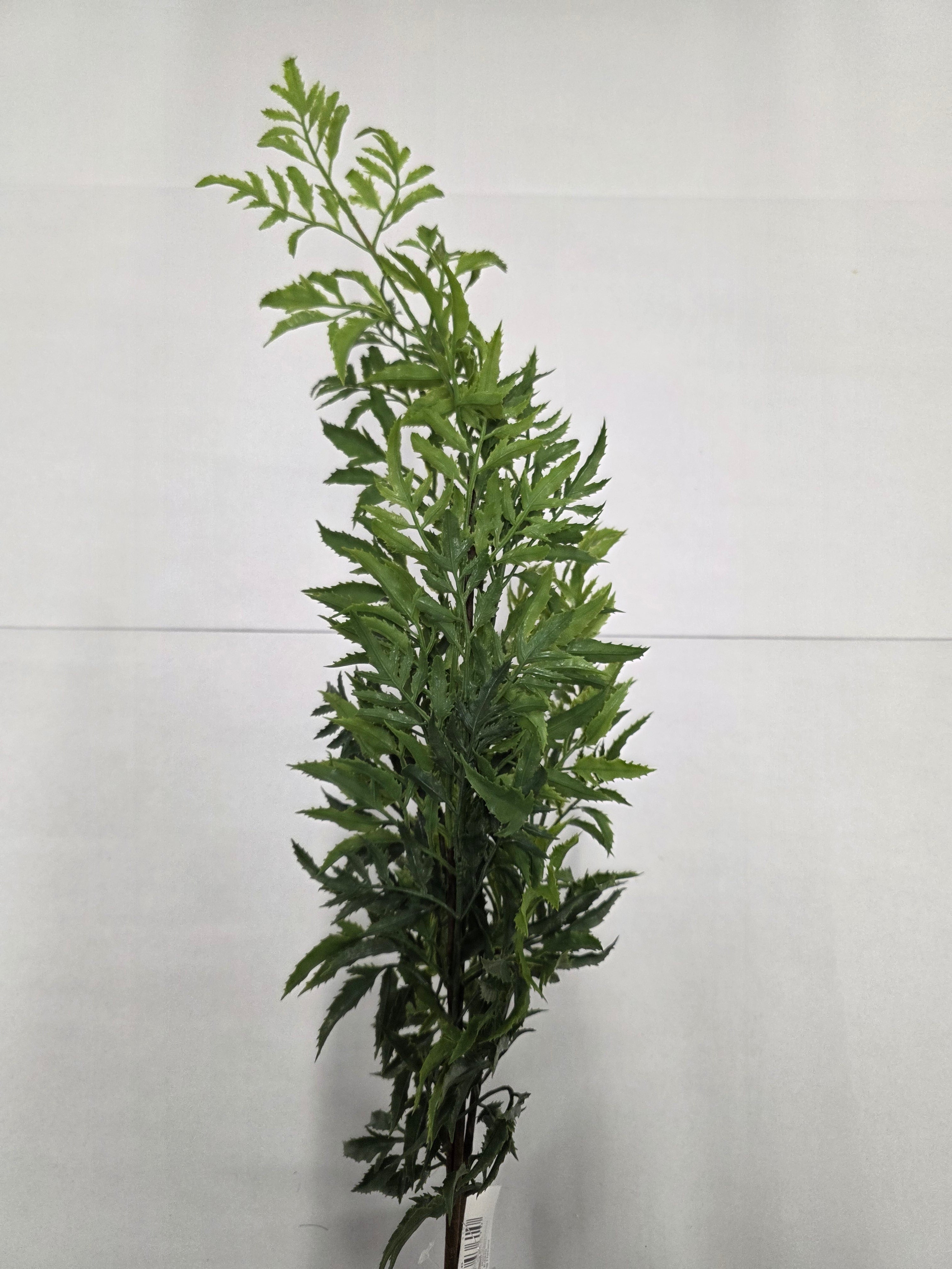 Artificial Tea Tree Fern 106cm (Pack of 4)