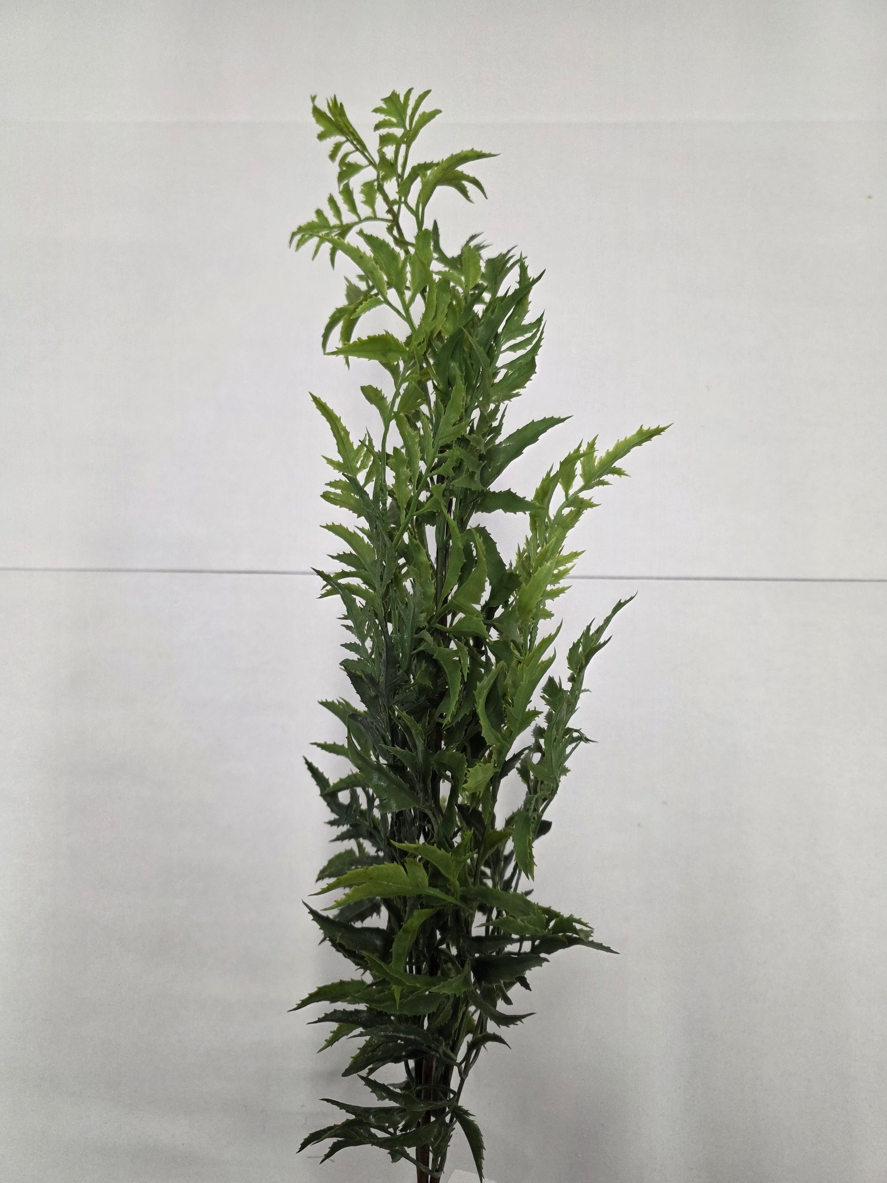 Artificial Tea Tree Fern 106cm (Pack of 4)