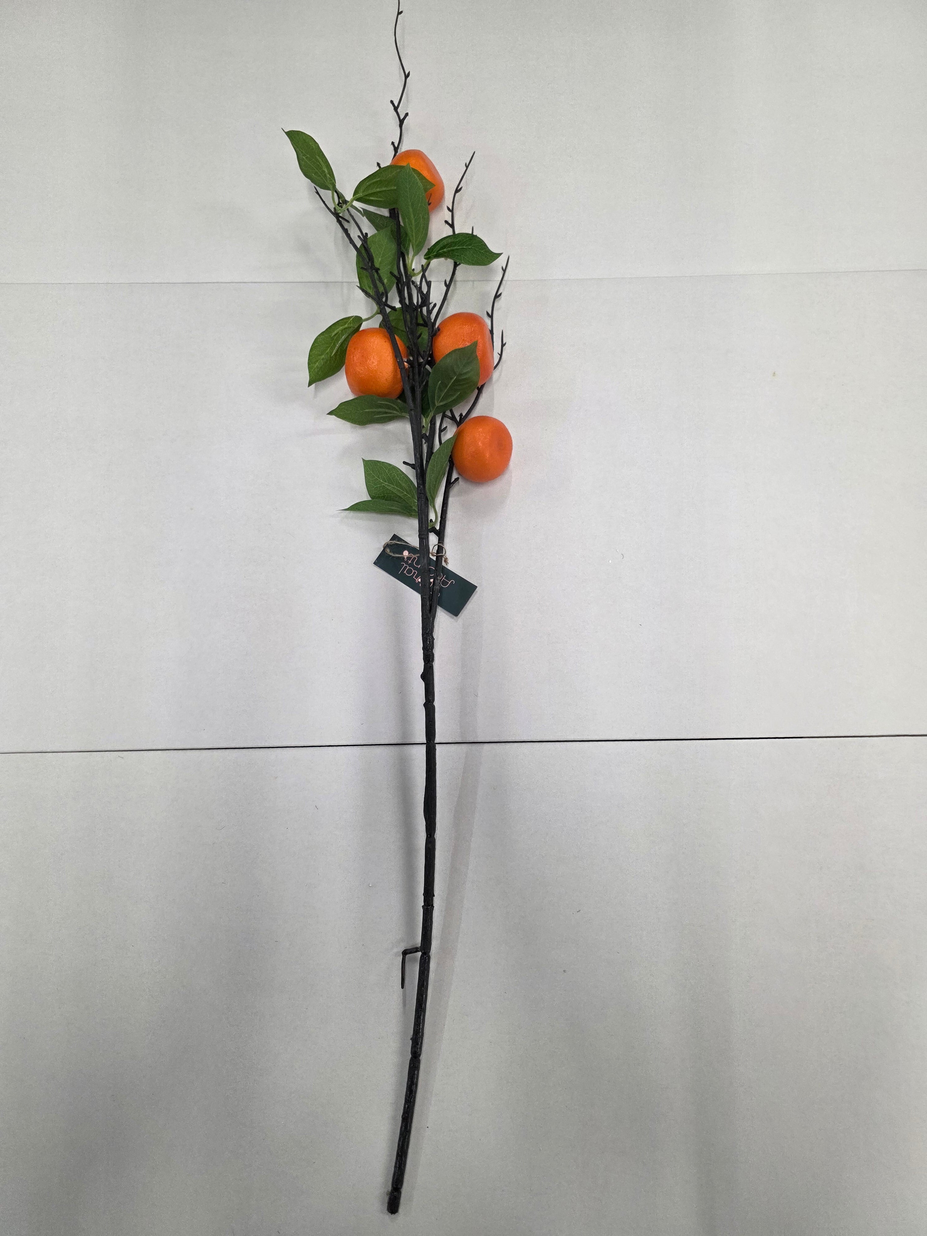 Fruit Stem Orange 79cm
