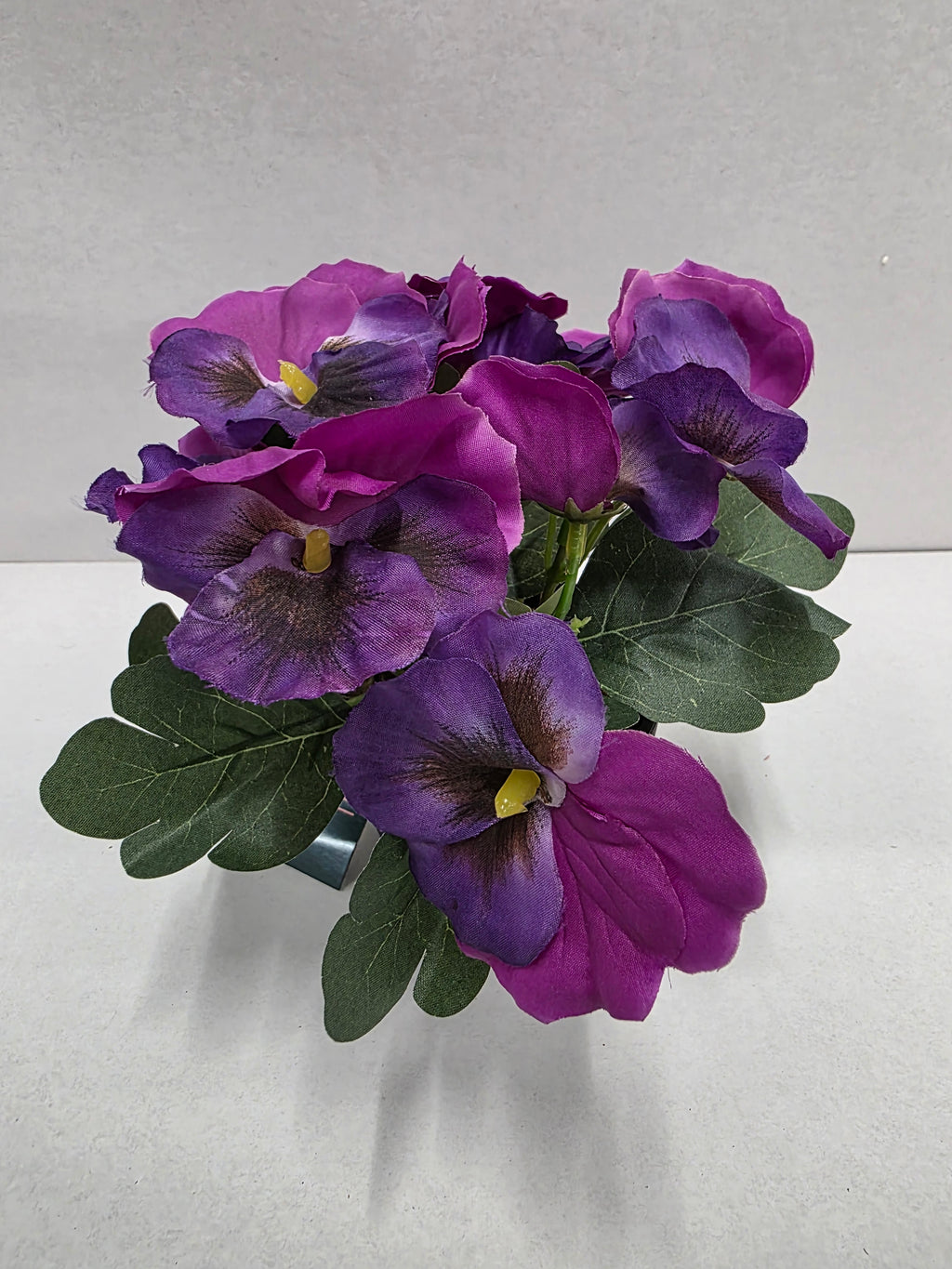 Viola In Pot Purple 17cm (pack of 2)