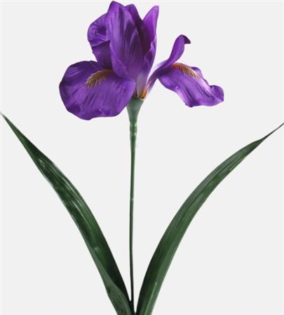 Artificial Iris Purple 60cm (PACK OF 5)