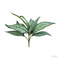 Artificial Hosta Green (PACK OF 5)