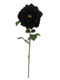 Artificial Rose Velvet Black 75cm (PACK OF 2)