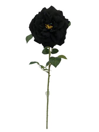 Artificial Rose Velvet Black 75cm (PACK OF 2)