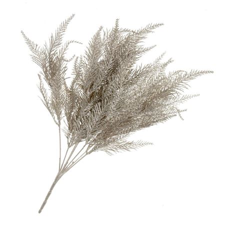 Fern Bush Champagne 50cm