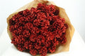 Dried Pine Cone Red Glitter