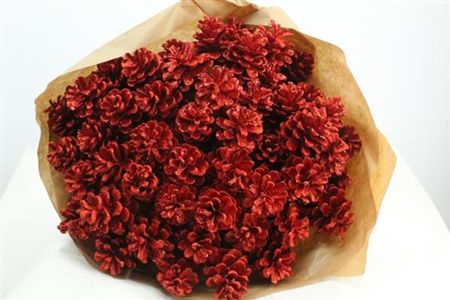 Dried Pine Cone Red Glitter