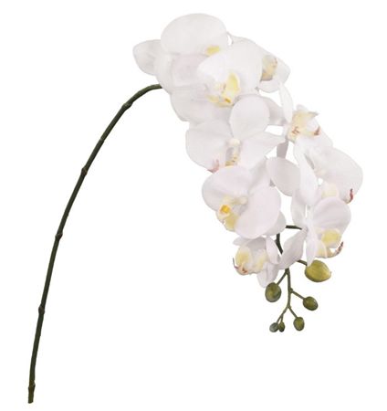 Artificial Phalaenopsis Cream 86cm