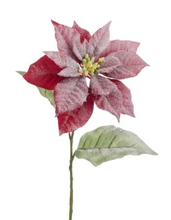 Snow Poinsettia Stem 71cm