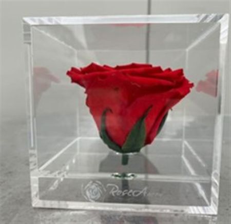 Artificial Preserved Rosa Box 02 Large