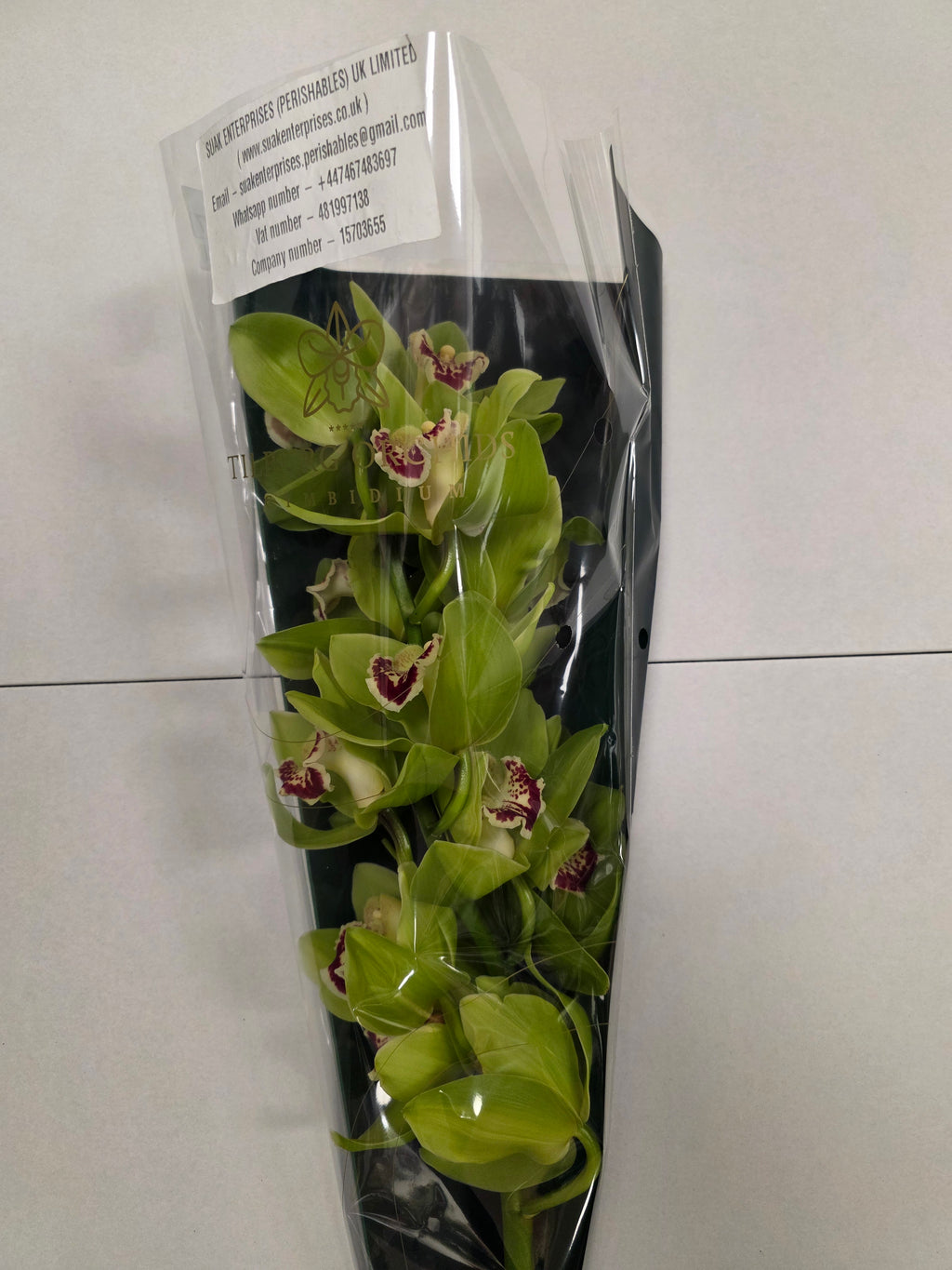 Farm Fresh Orchid/Cymbidium Tak Noah(Bunch of 2 stems, Length 50cm)