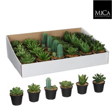 Artificial Assorted Pot Succulent 11x7cm (PACK OF ANY 2)