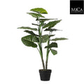 Artificial Taro In Pot Green 100x70cm