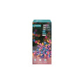 L E D Lights Rainbow X200 Battery Operated