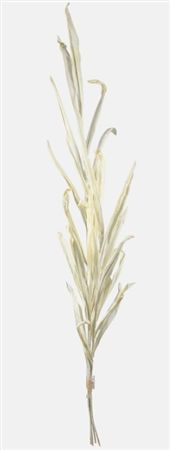 Artificial Autumn Reed Cream 123cm X4