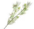 Artificial Leucadendron Spray White Green 68cm (PACK OF 2)