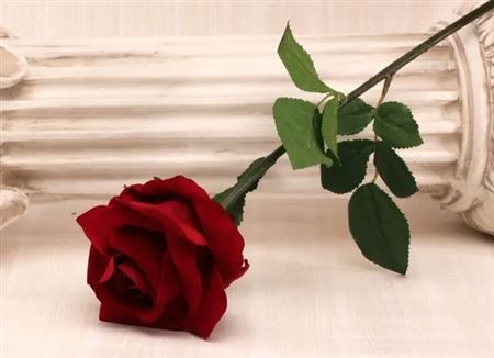 Artificial Rose Large velvet Red 67cm (PACK OF 2)