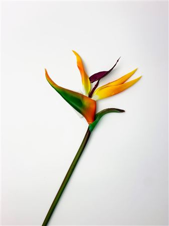 Artificial Bird Of Paradise Small (PACK OF 2)