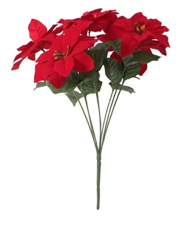 Poinsettia Bush Red X7