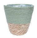 Seagrass Pot Green 16cm (PACK OF 3)