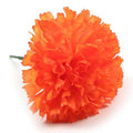 Artificial Carnation Pick Orange X144