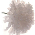 Artificial Carnation Pick White X144