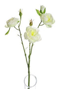 Artificial Lydia Ranunculus Spray Cream (PACK OF 3)