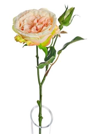 Artificial Lydia Cabbage Rose Spray Peach (PACK OF 2)