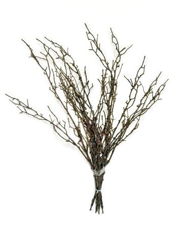 Twig Bundle Brown