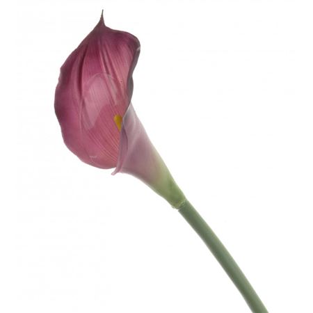 Artificial Calla Lily Dark Purple 68cm (PACK OF 4)
