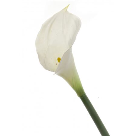 Artificial Calla Lily Cream 68cm (PACK OF 4)