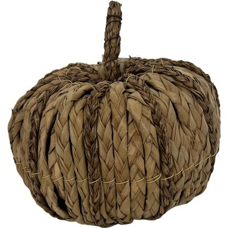 Reed Pumpkin Medium 25cm
