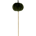 Pick Pumpkin Felt Dark Green 50x5cm (Pack of 10 pieces)