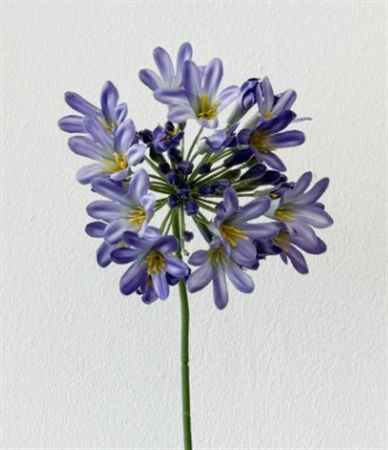 Artificial Agapanthus Indigo 75cm