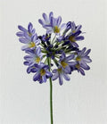 Artificial Agapanthus Indigo 75cm