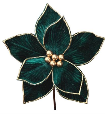 Poinsettia Green Gold Edge 25cm