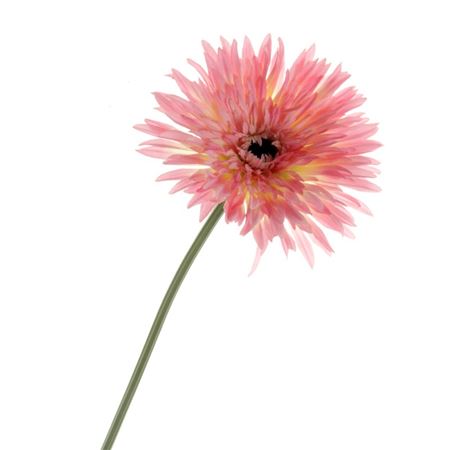 Artificial Gerbera Double Pink (PACK OF 2)