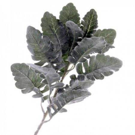 Artifical Dusty Miller Green Grey (PACK OF 2)