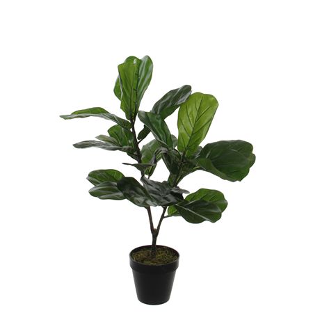 Artificial Ficus Lyrata Green 75cm