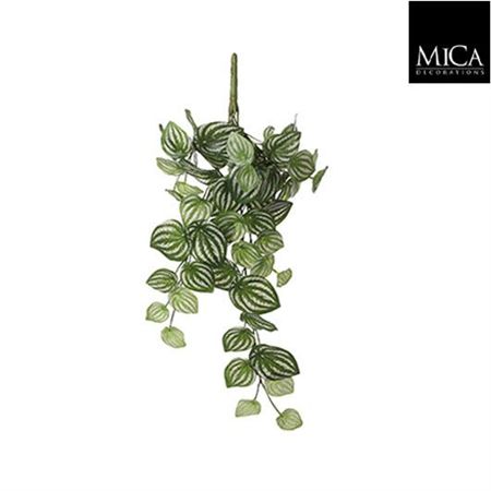 Artificial Peperomia Hanging Green Variegated