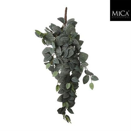 Artifical Fittonia Hanging Green