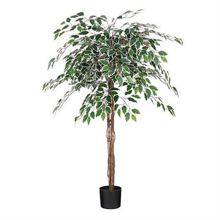 Artificial Ficus In Pot Green Variegated