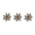 Poinsettia Clip Champagne X3 (PACK OF 3)