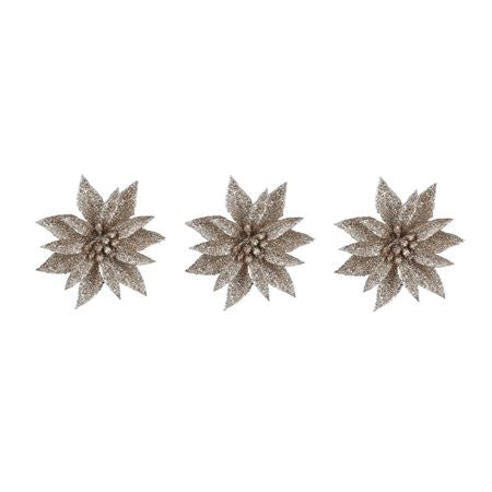 Poinsettia Clip Champagne X3 (PACK OF 3)